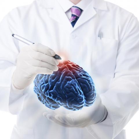  Nöroşirurji (Beyin Cerrahi) 